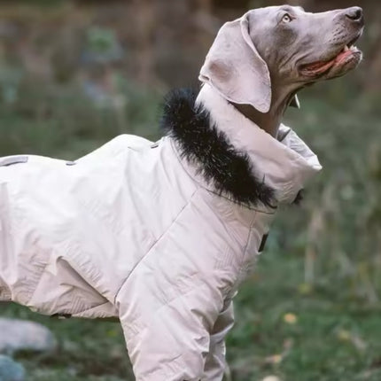 Winter Dog Jacket | Dog Jacket with Hood for Cold Weather
