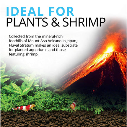 Fluval 12697 Plant and Shrimp Stratum, 8.8-Pound