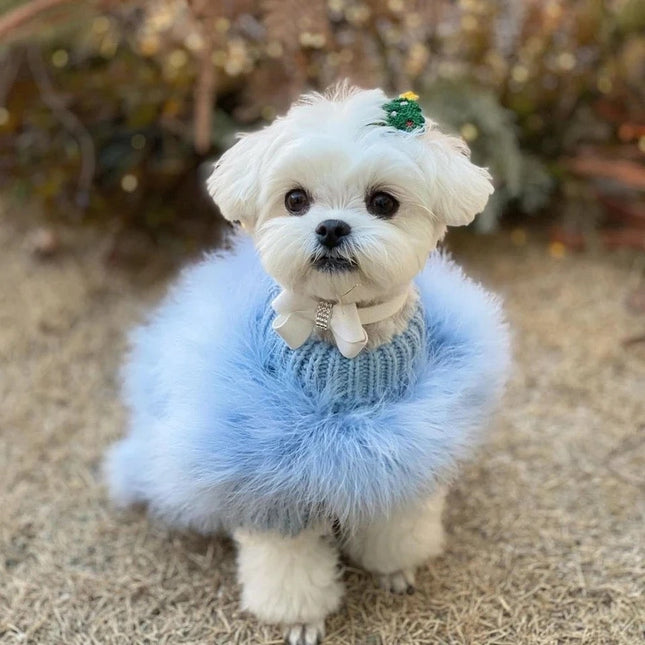 Doggie Haute Couture Jupiter Sweater