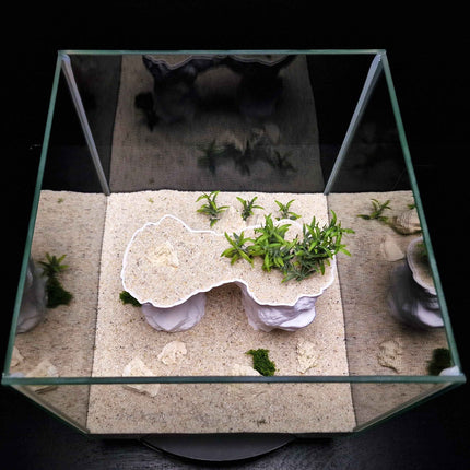 3D Printed Arch Hideout – Aquascape, Terrarium Rock Feature for Cichlids, Plecos, Reptiles - "Arc de Triomphe" Model