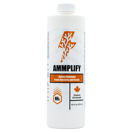 Ammplify