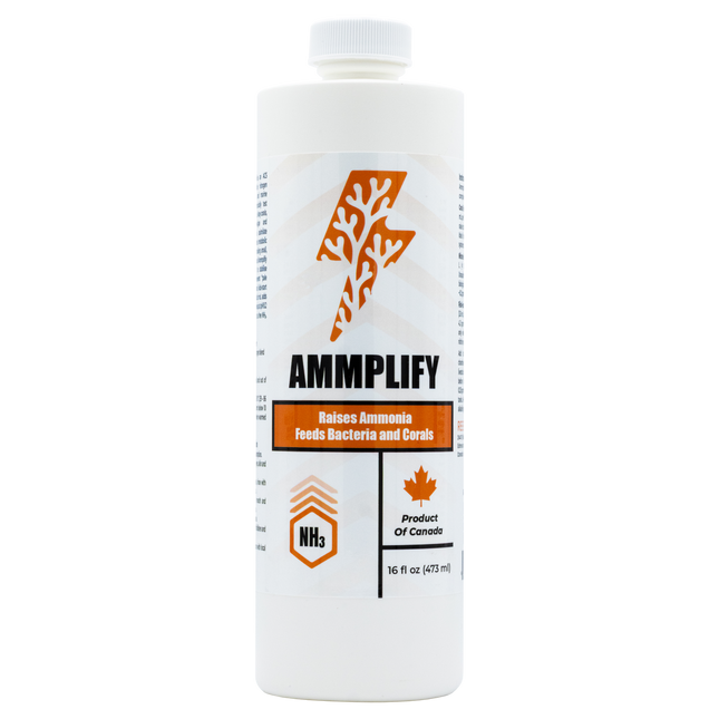 Ammplify