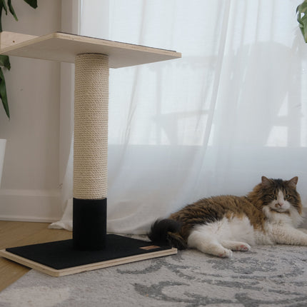 Noba Animal Co. Modern Plywood 1-Level Cat Tree
