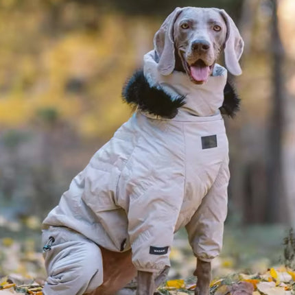 Winter Dog Jacket | Dog Jacket with Hood for Cold Weather