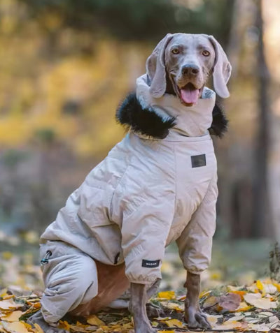 Doggie Haute Couture Winter Dog Jacket | Dog Jacket with Hood for Cold Weather