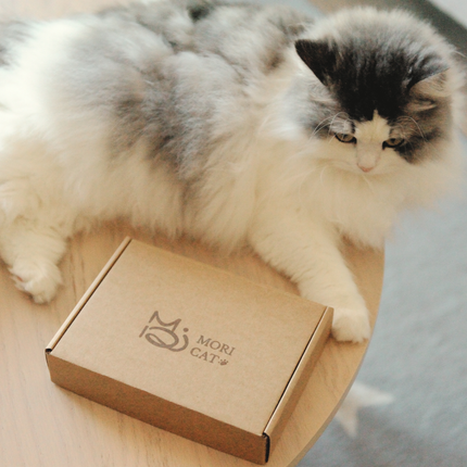 MoriCat Premium Gift Bundle Box with Vintage Bronze Gem in Emerald