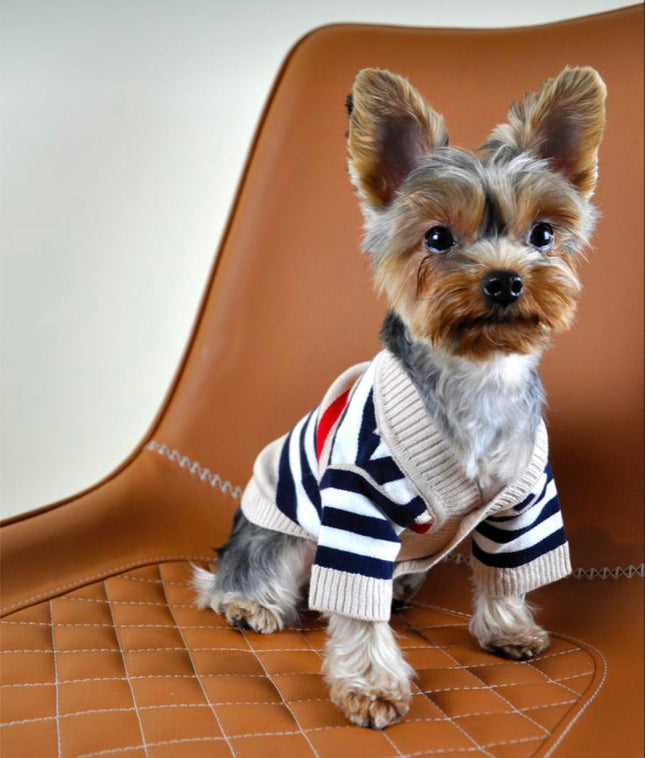 Doggie Haute Couture Brrbrry Sweater