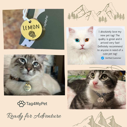 Breakaway Cat Collar Abstract – Personalized with ID Tag