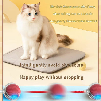 Pet Vibrating Bouncing Ball Toy with Tail