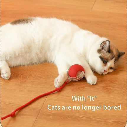 Pet Vibrating Bouncing Ball Toy with Tail