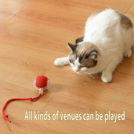 Pet Vibrating Bouncing Ball Toy with Tail