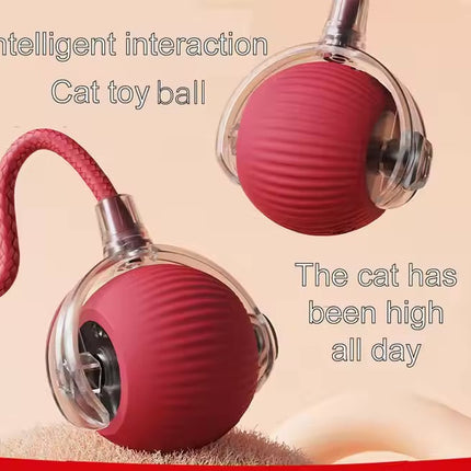 Pet Vibrating Bouncing Ball Toy with Tail