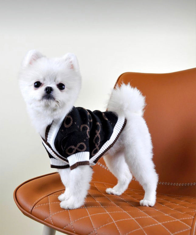 Doggie Haute Couture Gucchewi Sweater