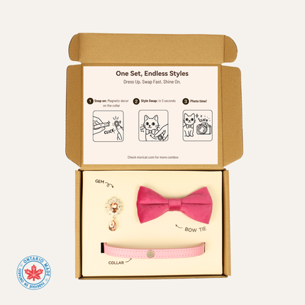 MoriCat Premium Gift Bundle Box with Teardrop Jewel in Rose on Pink Collar with Pink Bowtie