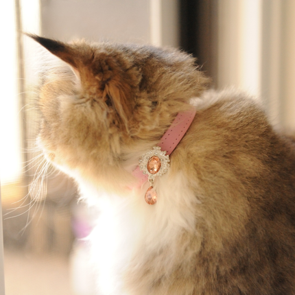 MoriCat Premium Gift Bundle Box with Teardrop Jewel in Rose on Pink Collar with Pink Bowtie