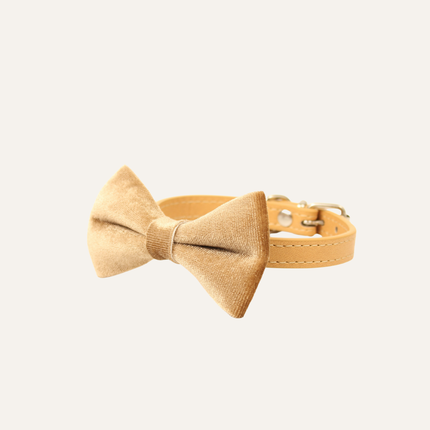 MoriCat Premium Gift Bundle Box with Teardrop Jewel in Crystal on Beige Collar with Golden Bowtie