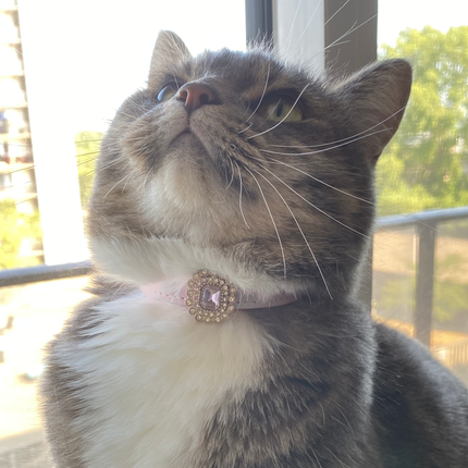 MoriCat Premium Gift Bundle Box with a Crystal Halo Jewel