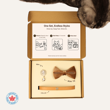 MoriCat Premium Gift Bundle Box with Teardrop Jewel in Crystal on Beige Collar with Golden Bowtie