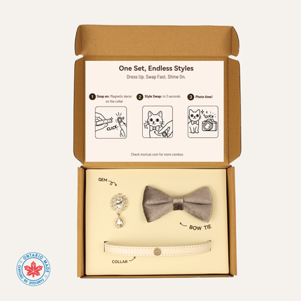 MoriCat Premium Gift Bundle Box with Teardrop Jewel in Crystal on White Collar with Silver Bowtie
