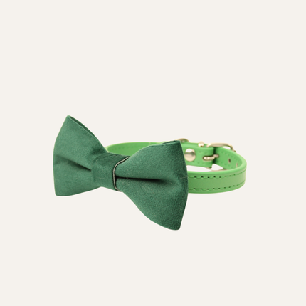MoriCat Premium Gift Bundle Box with Teardrop Jewel in Emerald on Green Collar with Green Bowtie