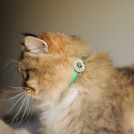 MoriCat Premium Gift Bundle Box with an Emerald Halo Jewel