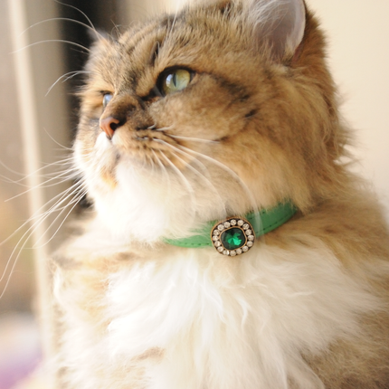MoriCat Premium Gift Bundle Box with Vintage Bronze Gem in Emerald