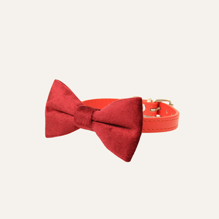 MoriCat Premium Gift Bundle Box with Teardrop Jewel in Ruby on Red Collar with Red Bowtie