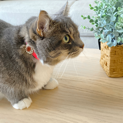 MoriCat Premium Gift Bundle Box with a Ruby Halo Jewel