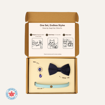 MoriCat Premium Gift Bundle Box with Teardrop Jewel in Sapphire on Blue Collar with Deep Blue Bowtie