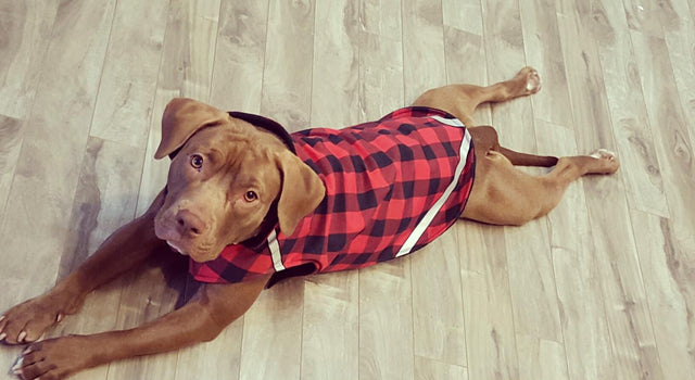 <h1>Sweaters & Vests for Every Adventure</h1>