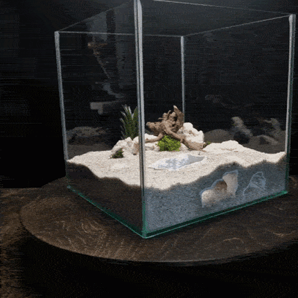3D Printed Terrarium Cave – Rock Hideout for Terrarium, Aquarium - Customizable Sizing - "Offset Chamber" Model