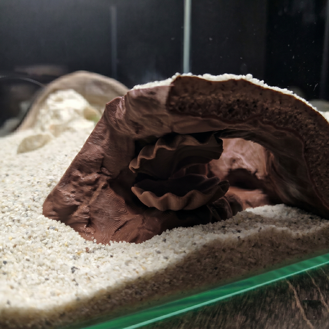 PhD Aqua Fabrication Aquarium Cave with Integrated Clam Shell Hide – 3D Printed Rock Texture Decor for Fish Tanks, Aquascapes, and Reptile Terrariums - "Hidden Shell" Model