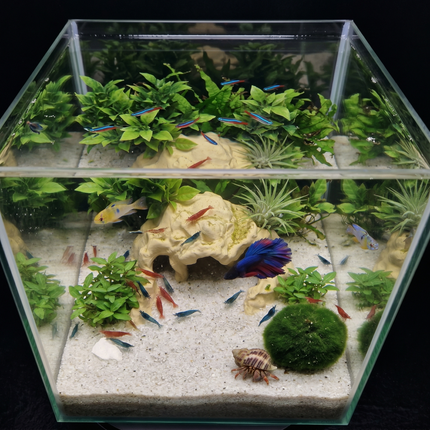 3D Printed Terrarium Reptile and Fish Cave | Natural Desert Rock Hideout - "Three Ways Home" Model