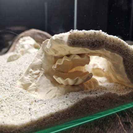 Aquarium Cave with Integrated Clam Shell Hide – 3D Printed Rock Texture Decor for Fish Tanks, Aquascapes, and Reptile Terrariums - "Hidden Shell" Model