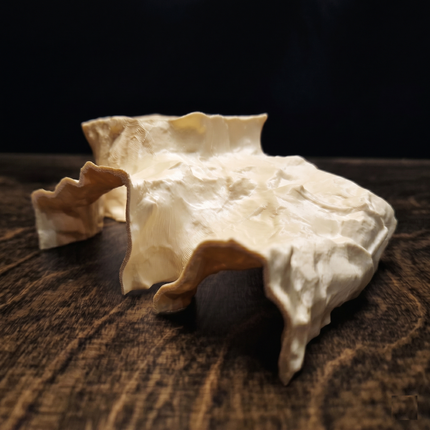 3D Printed Terrarium Cave – Rock Hideout for Terrarium, Aquarium - Customizable Sizing - "Offset Chamber" Model