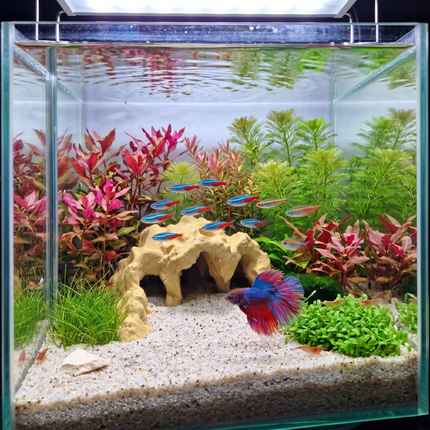 3D Printed Terrarium Reptile and Fish Cave | Natural Desert Rock Hideout - "Three Ways Home" Model