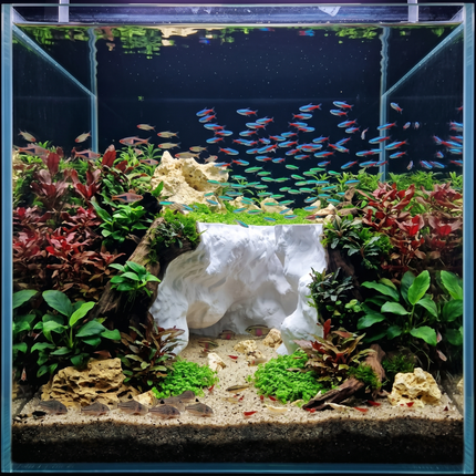 3D Printed Cave Decor – Deep Rift for Terrarium & Aquarium - Customizable Sizing - "Ripped Earth" Model