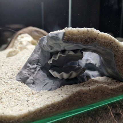 Aquarium Cave with Integrated Clam Shell Hide – 3D Printed Rock Texture Decor for Fish Tanks, Aquascapes, and Reptile Terrariums - "Hidden Shell" Model