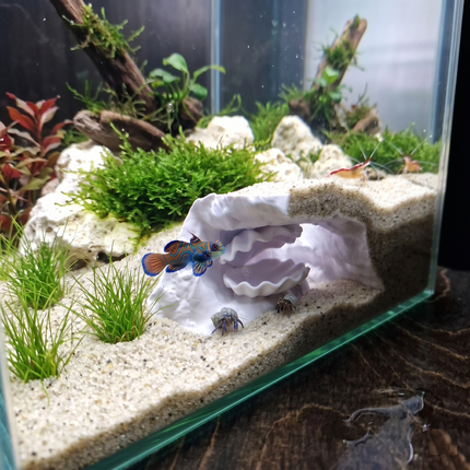 Aquarium Cave with Integrated Clam Shell Hide – 3D Printed Rock Texture Decor for Fish Tanks, Aquascapes, and Reptile Terrariums - "Hidden Shell" Model