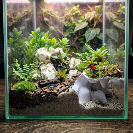 Terrarium Cave & Aquarium Tunnel | 3D Printed Under-Sand Hide for Aquascaping, Cichlids, Shrimp, and Reptiles - "Corner Office" Model