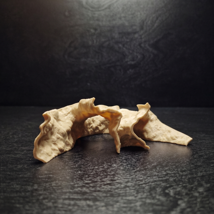 Aquarium Cave Decor - 3D Printed Rock Feature Hideout for Betta & Shrimp - Natural Stone Look Fish Tank Ornament - "Which Way" Model