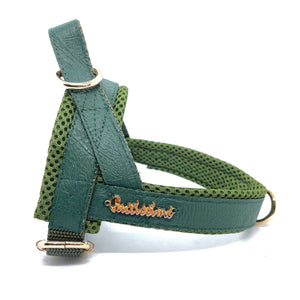 Dogs - Collars, Leashes & Harnesses