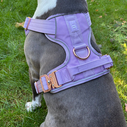 Heavy-Duty Everyday Harness - Lilac