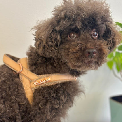 Peach real Leather One-Click Dog Harness