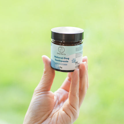 Natural Pet Toothpaste
