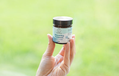 Drby Pet Co. Natural Pet Toothpaste