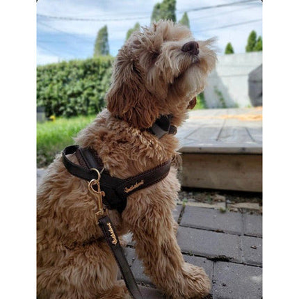 Puccissimé Pet Couture Grizzly Brown Leather Dog Bow Tie
