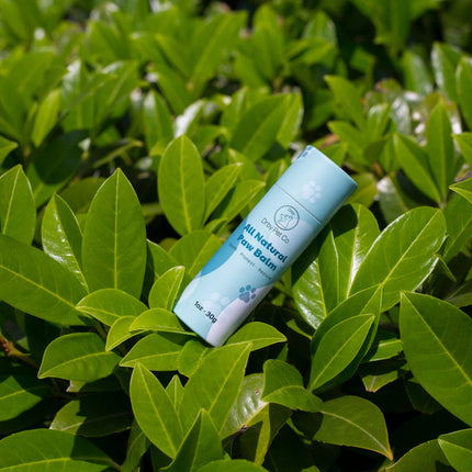 All Natural Paw Balm