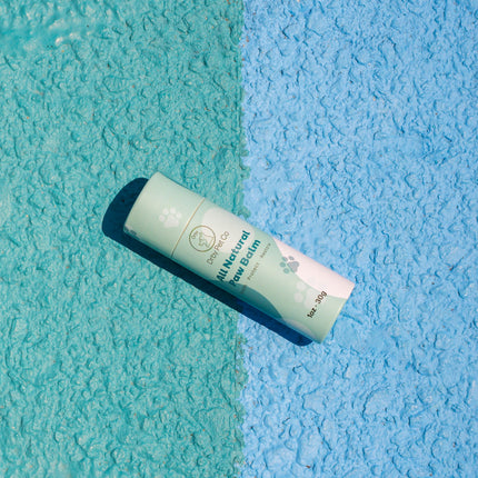 All Natural Paw Balm