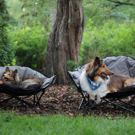 Kuma Little  Lazy Bear Dog Bed